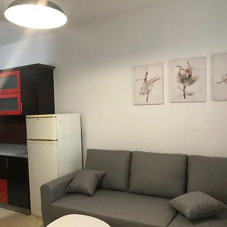 Apartment Tirent - Comfortable 1-bedroom In Fresku